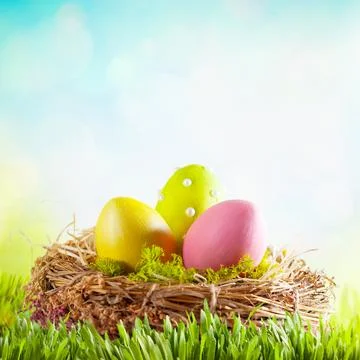 Easter composition with colorful Easter eggs in nest on green grass. Easter.. Stock Photos