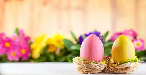 Easter composition with colorful Easter eggs and spring flowers. Stock Photos