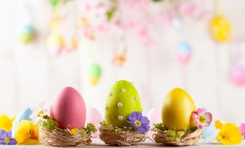 Easter composition with colorful Easter eggs  and spring flowers. Stock Photos