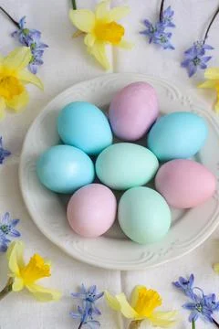 Easter composition with colorful eggs. Stock-Fotos