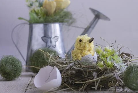 Easter composition with diy chicken made of yarn pom-poms. Фото