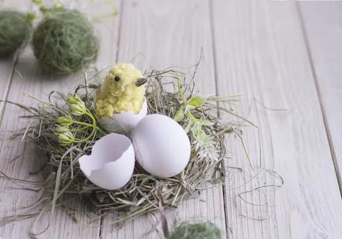 Easter composition with diy chicken made of yarn pom-poms. Stock Photos
