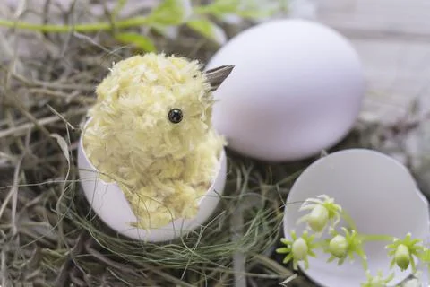 Easter composition with diy chicken made of yarn pom-poms.the beak is made of Stock Photos