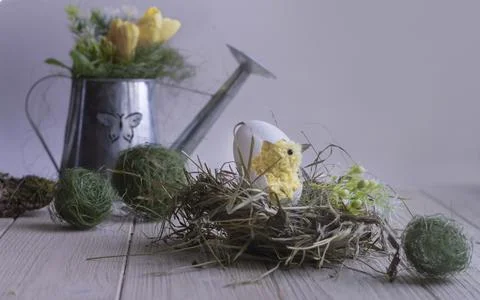 Easter composition with diy chicken made of yarn pom-poms. Stock Photos