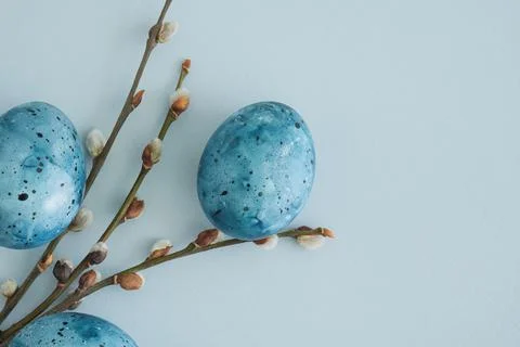 Easter composition of Easter eggs and pussy willow branches on a blue background Stock Photos