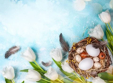 Easter composition with Easter eggs in nest and white tulips Stock Photos