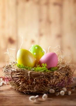 Easter composition with Easter eggs in nest and branches of pussy willows. Stock Photos