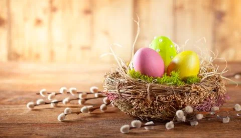 Easter composition with Easter eggs in nest and branches of pussy willows. Stock Photos