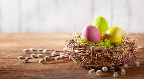 Easter composition with Easter eggs in nest and branches of pussy willows. Stockfoto's