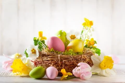 Easter composition with Easter eggs in nest, spring flowers and branches of.. Stockfoto's