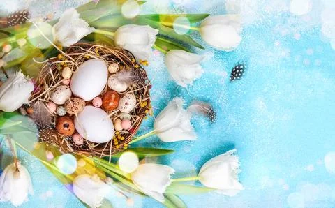 Easter composition with Easter eggs in nest,pussy willow branches and white.. Stock Photos