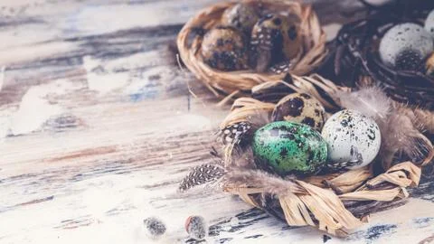 Easter composition. Easter eggs in nests. Rustic surface. Copy space Stock Photos
