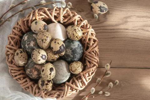 Easter composition - Easter eggs painted with natural dyes in a wicker nest o Stock Photos