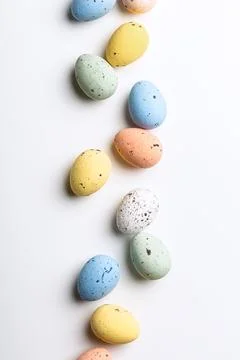 Easter composition of Easter quail eggs and flowers Stock Photos