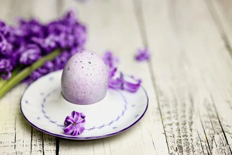 Easter composition with egg and egg cup with Hyacinth spring flowers on woode Stock Photos