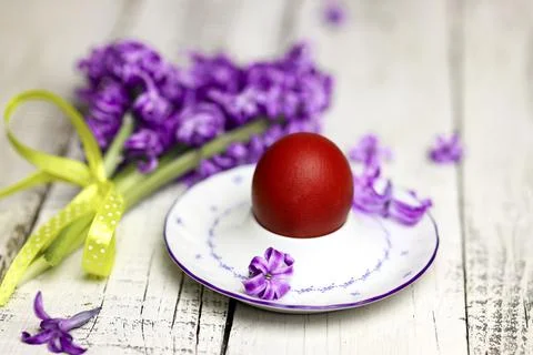 Easter composition with egg and egg cup with Hyacinth spring flowers on woode Stock Photos