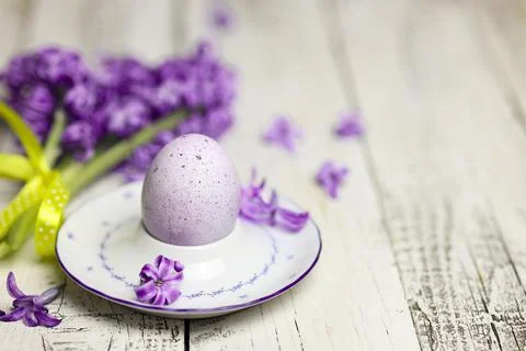 Easter composition with egg and egg cup with Hyacinth spring flowers on woode Stock Photos