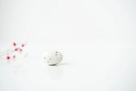 Easter composition with egg and flowers. Stock Photos