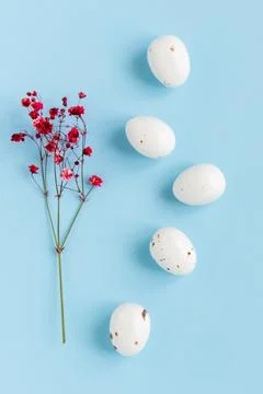 Easter composition with eggs and flowers. Stock Photos