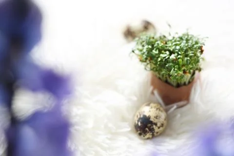 Easter composition with eggs and shells, top view. Ecological style. Stock-Fotos