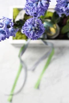 Easter composition with eggs and shells, top view. Ecological style. Stock Photos