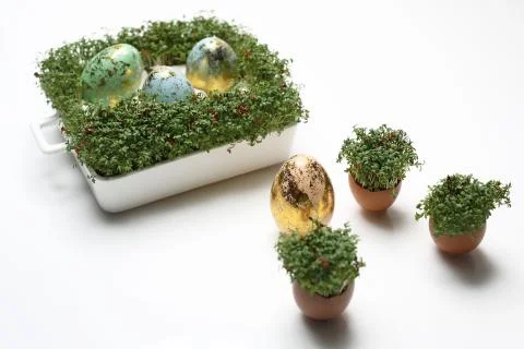 Easter composition with eggs and shells. Ecological style. Stock Photos