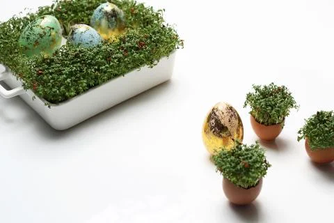 Easter composition with eggs and shells. Ecological style. Stock Photos