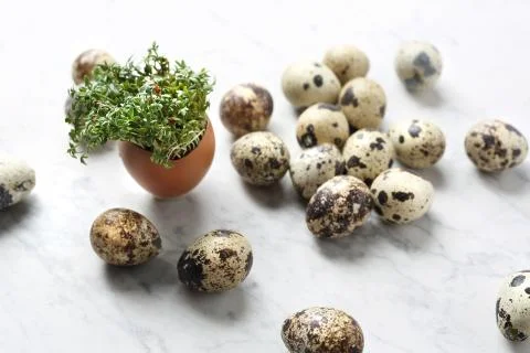 Easter composition with eggs and shells, top view. Ecological style. Stock Photos