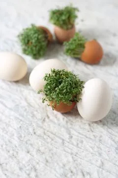 Easter composition with eggs and shells, top view. Ecological style. Stock Photos