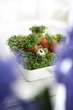 Easter composition with eggs and shells, top view. Ecological style. Stock Photos