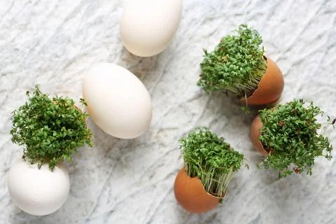 Easter composition with eggs and shells, top view. Ecological style. Stock Photos