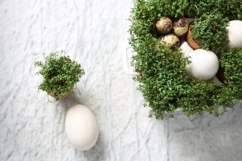 Easter composition with eggs and shells, top view. Ecological style. Stock Photos