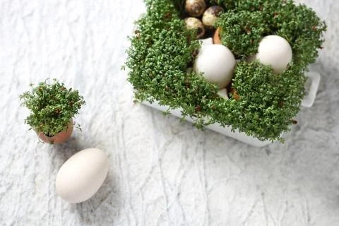 Easter composition with eggs and shells, top view. Ecological style. Stock Photos