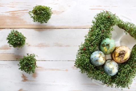Easter composition with eggs and shells. Ecological style. Stock-Fotos