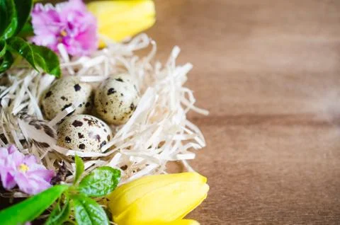 Easter Composition of eggs and spring flowers. Stock Photos