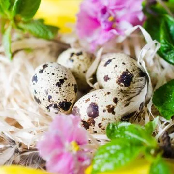 Easter Composition of eggs and spring flowers. 스톡 사진