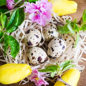 Easter Composition of eggs and spring flowers. Stock Photos