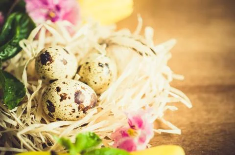 Easter Composition of eggs and spring flowers. Stock Photos