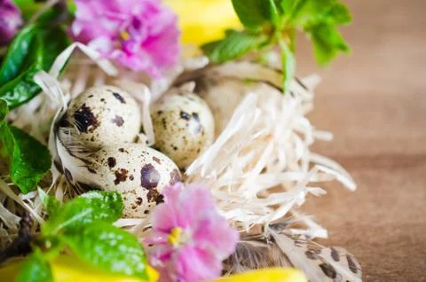Easter Composition of eggs and spring flowers. Stock Photos