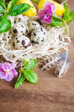 Easter Composition of eggs and spring flowers. Stock Photos