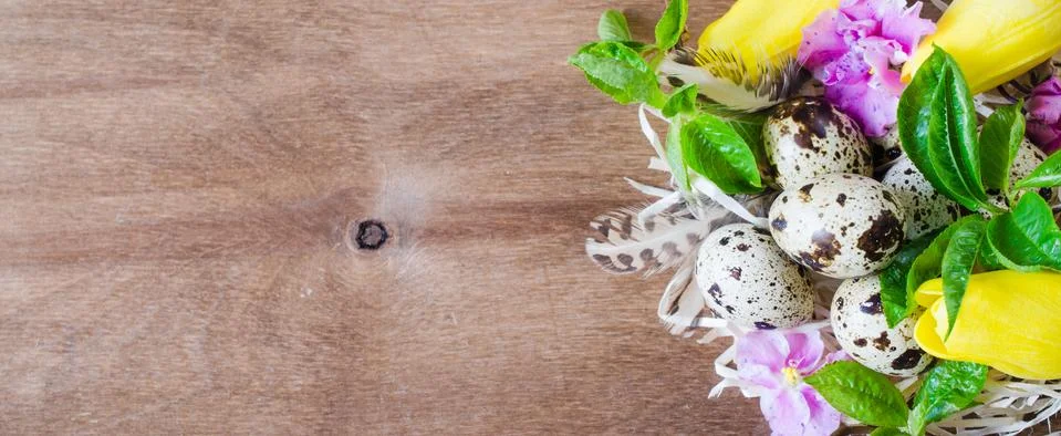 Easter Composition of eggs and spring flowers. Stock Photos
