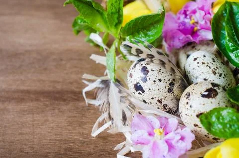 Easter Composition of eggs and spring flowers. Stock Photos