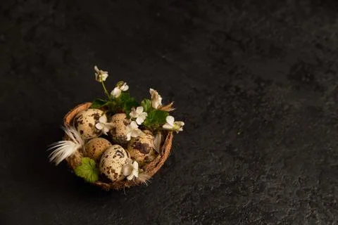 Easter composition. eggs in the nest and small flowers on a black background 写真素材
