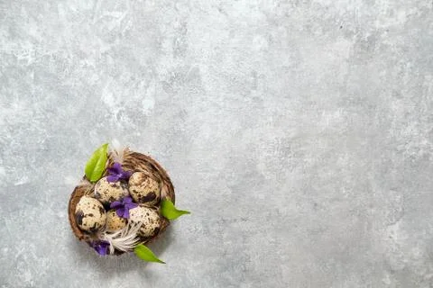 Easter composition. eggs in the nest and green leaves on a gray background. Stock Photos