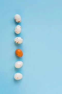 Easter composition with eggs. Stock Photos