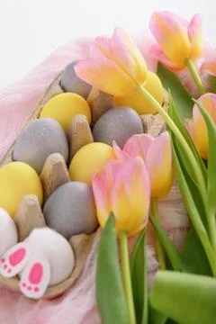 Easter composition of eggs, tulips and rabbit in cardboard box Stock Photos