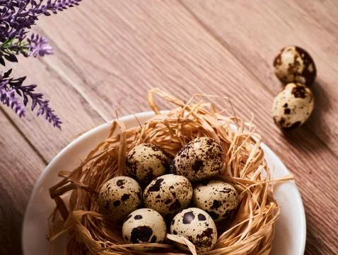 Easter composition with eggs on wooden background, space for text Stock Photos