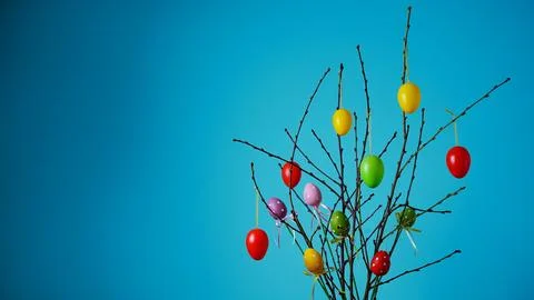 Easter composition. Front view of a branch decorated with Easter eggs Stock Photos