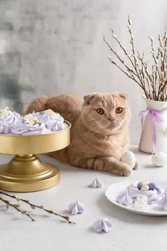 Easter composition with funny cat, easter dessert and eggs. Greeting card, po Stock Photos
