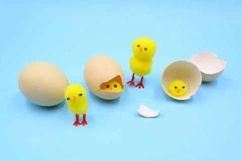 Easter Composition with funny Chicks Stock Photos
